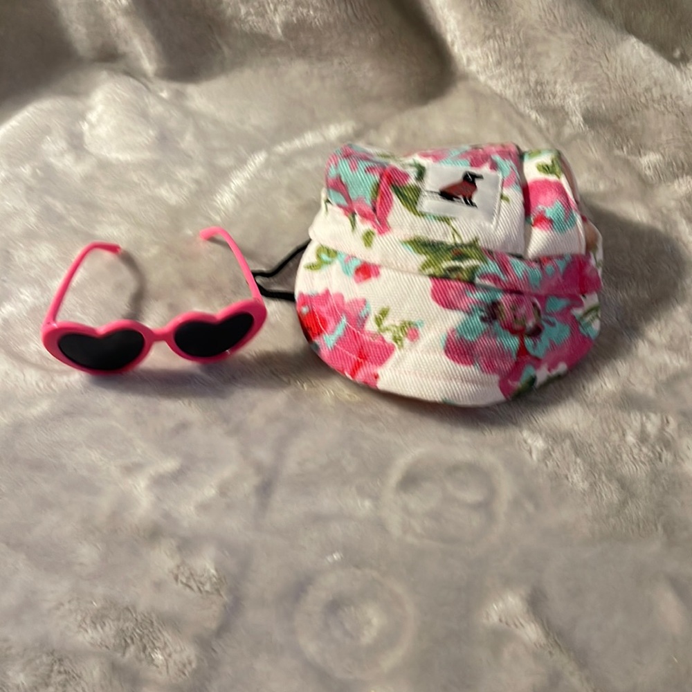 Dog hat and sunglasses